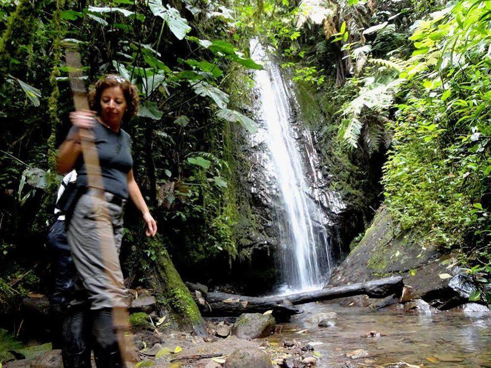 Bellavista Cloud Forest Lodge & Private Protected Area Tandayapa Exterior foto