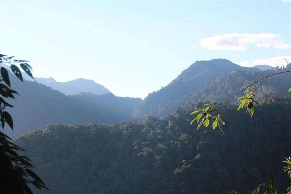 Bellavista Cloud Forest Lodge & Private Protected Area Tandayapa Exterior foto